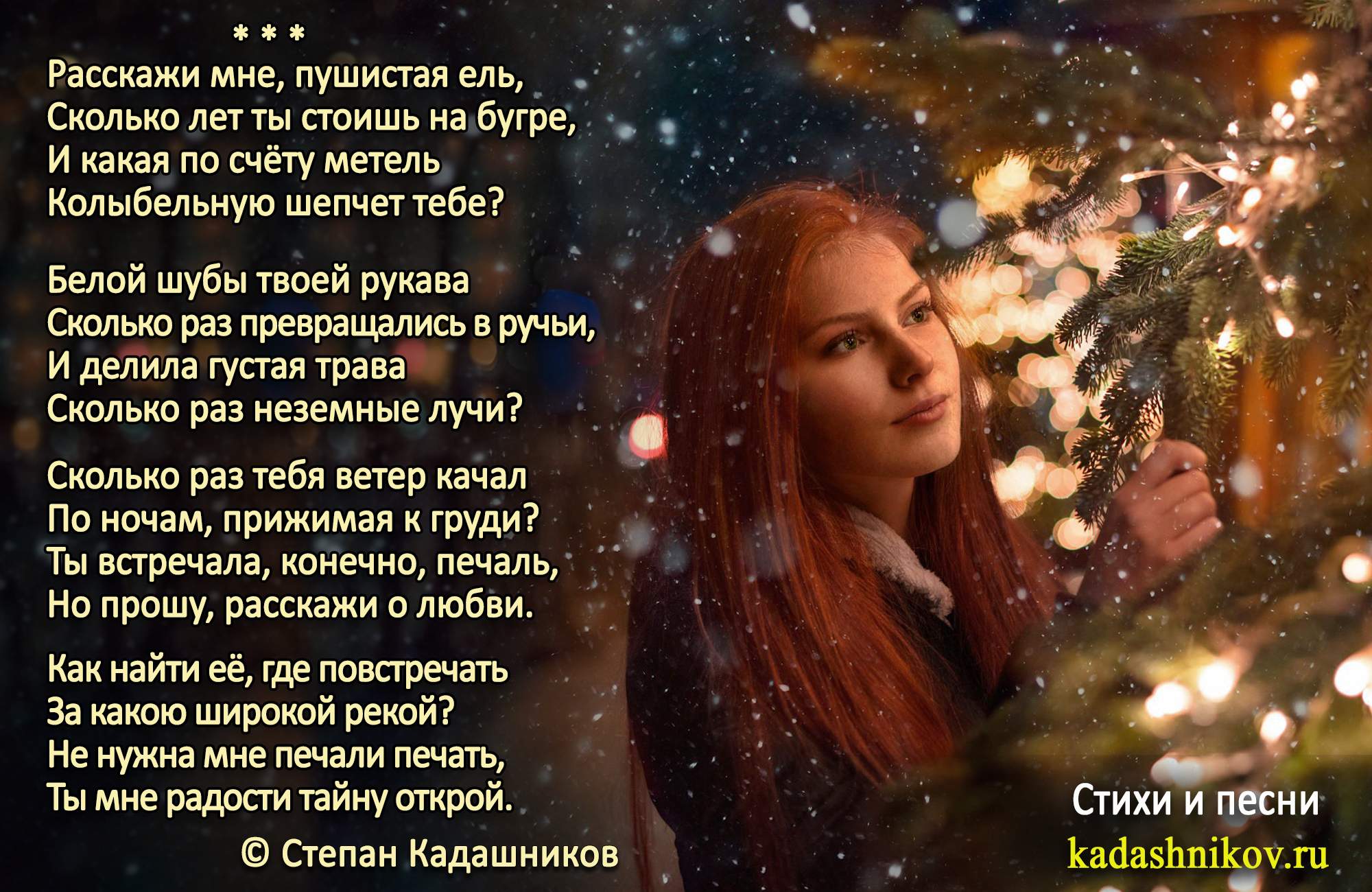 Стихотворение Степана Кадашникова "Расскажи мне, пушистая ель."