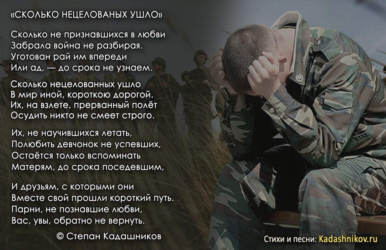Стихотворение про СВО и Донбасс. Поэт Степан Кадашников "Сколько нецелованных ушло". Стихи о войне С. Кадашникова про спецоперацию. Герои России - Kadashnikov.ru Стихи по СВО о Донбасс